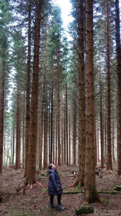 Exploring the woods at The White Tower of Taymouth Castle, a luxury retreat in the Scottish Highlands