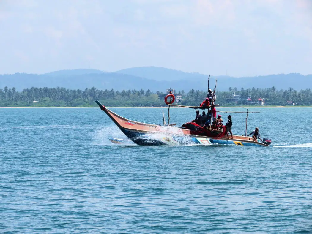 Whale watching in Sri Lanka by luxury catamaran - Conversant Traveller