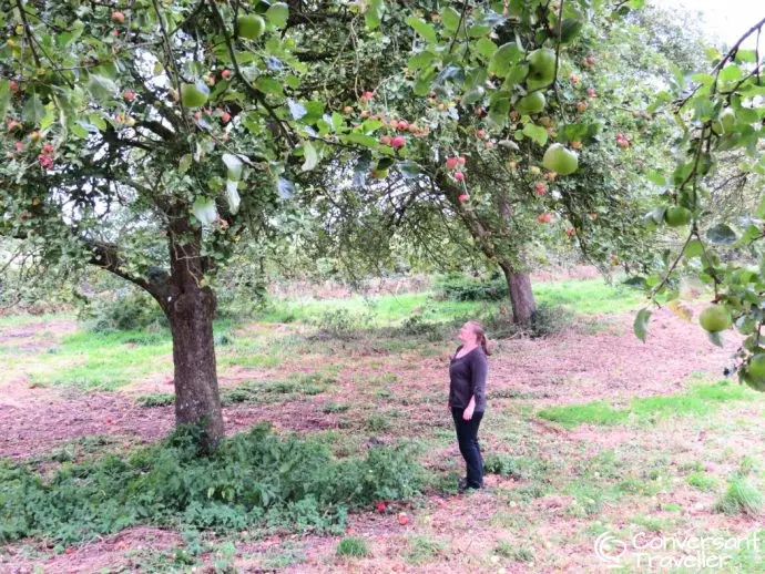 Longney orchards, hiking the Severn Way from Warwick Knight, quirky accommodation, Gloucestershire glamping