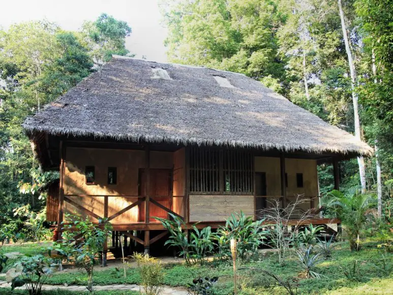 Remote Luxury Amazon Jungle Tour in Tambopata - Conversant Traveller