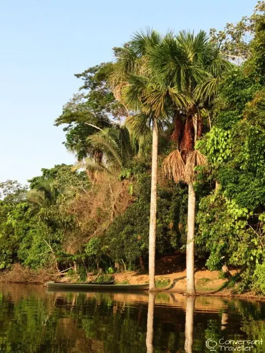 Lake Sandoval near Inkaterra Reserva Amazonica jungle treehouse Tambopata Peru