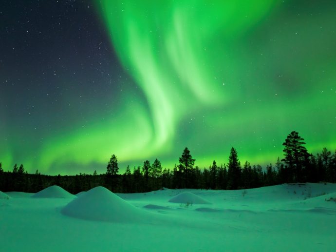 Northern lights in the sky above dark forest skyline and snow mounds in the foreground