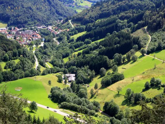 Black Forest in Germany