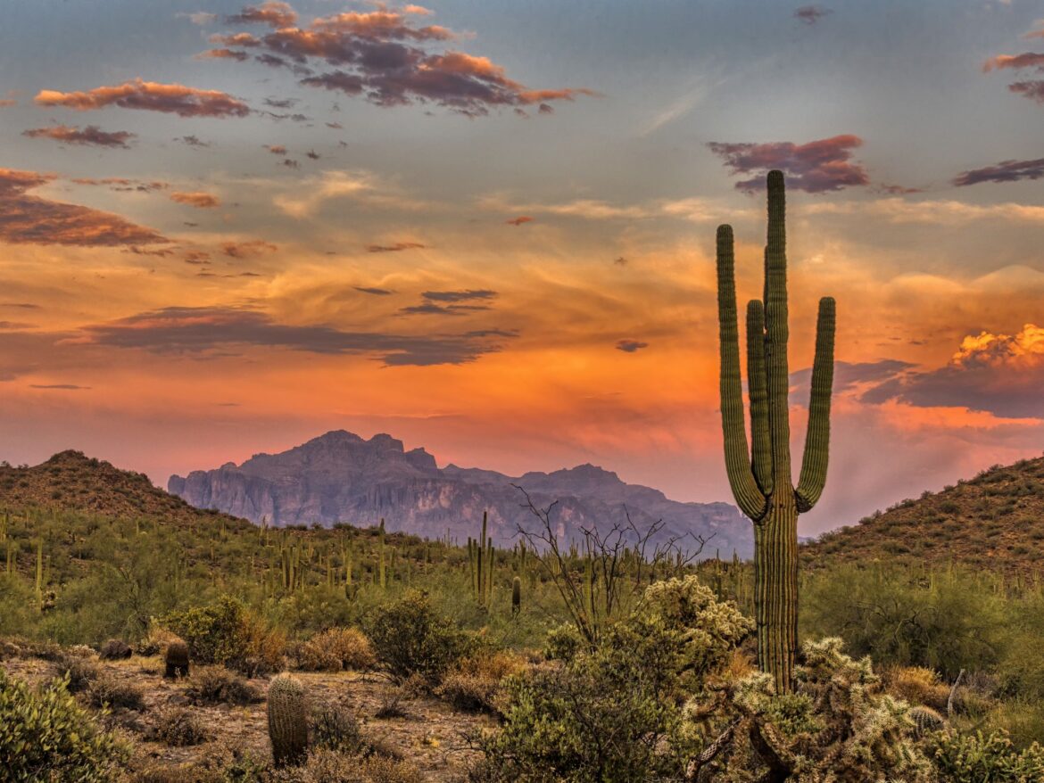 Sonoran Desert near Phoenix in Arizona