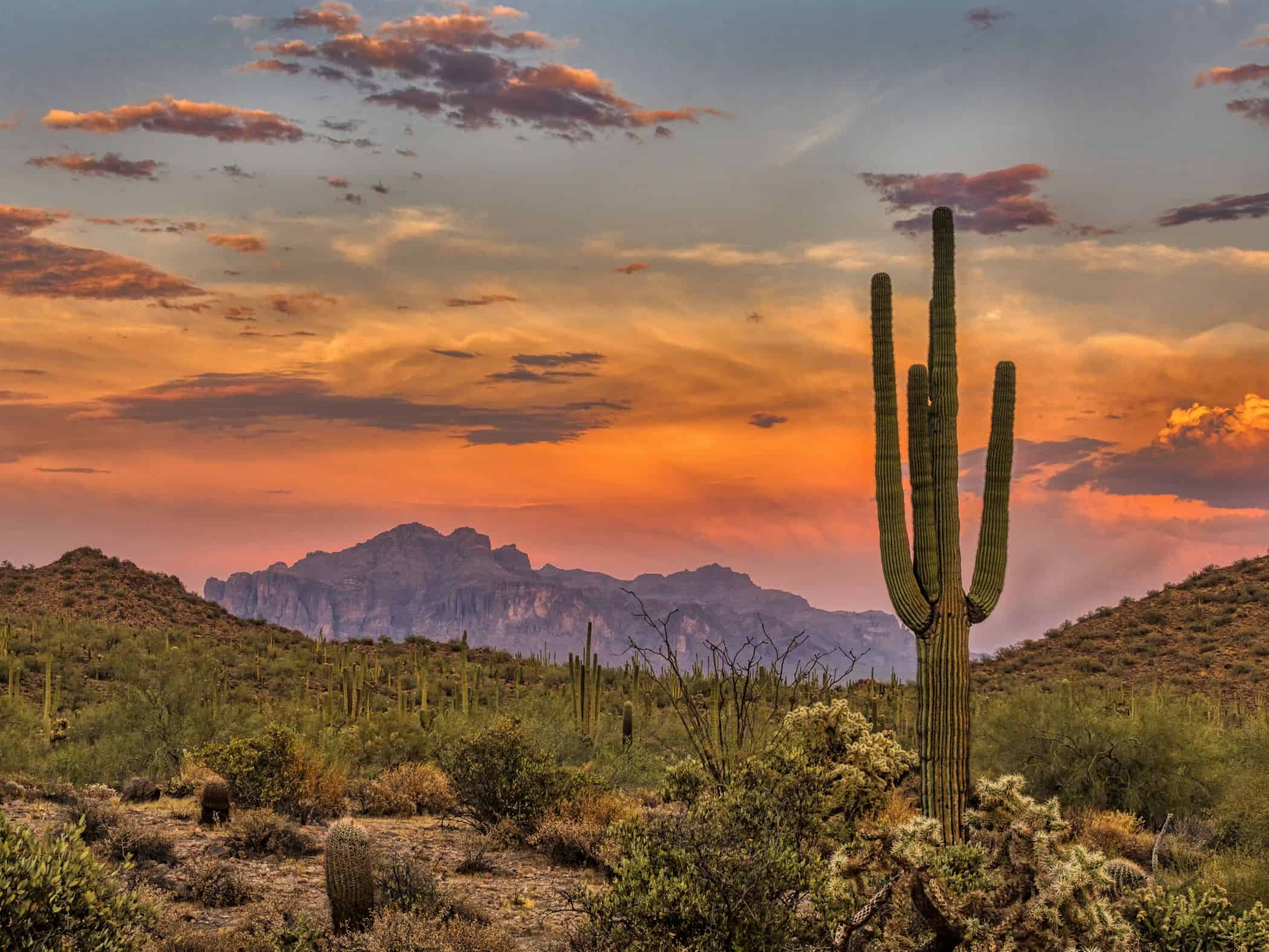 Tips for Restarting Life in a New City like Phoenix - Conversant Traveller