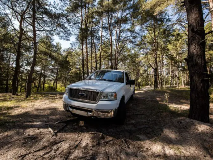 Pickup truck in wood