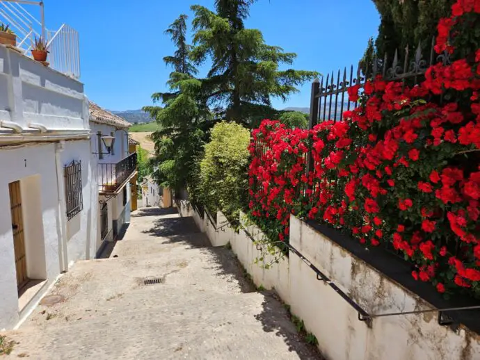 Red flowers along the railings beside a road