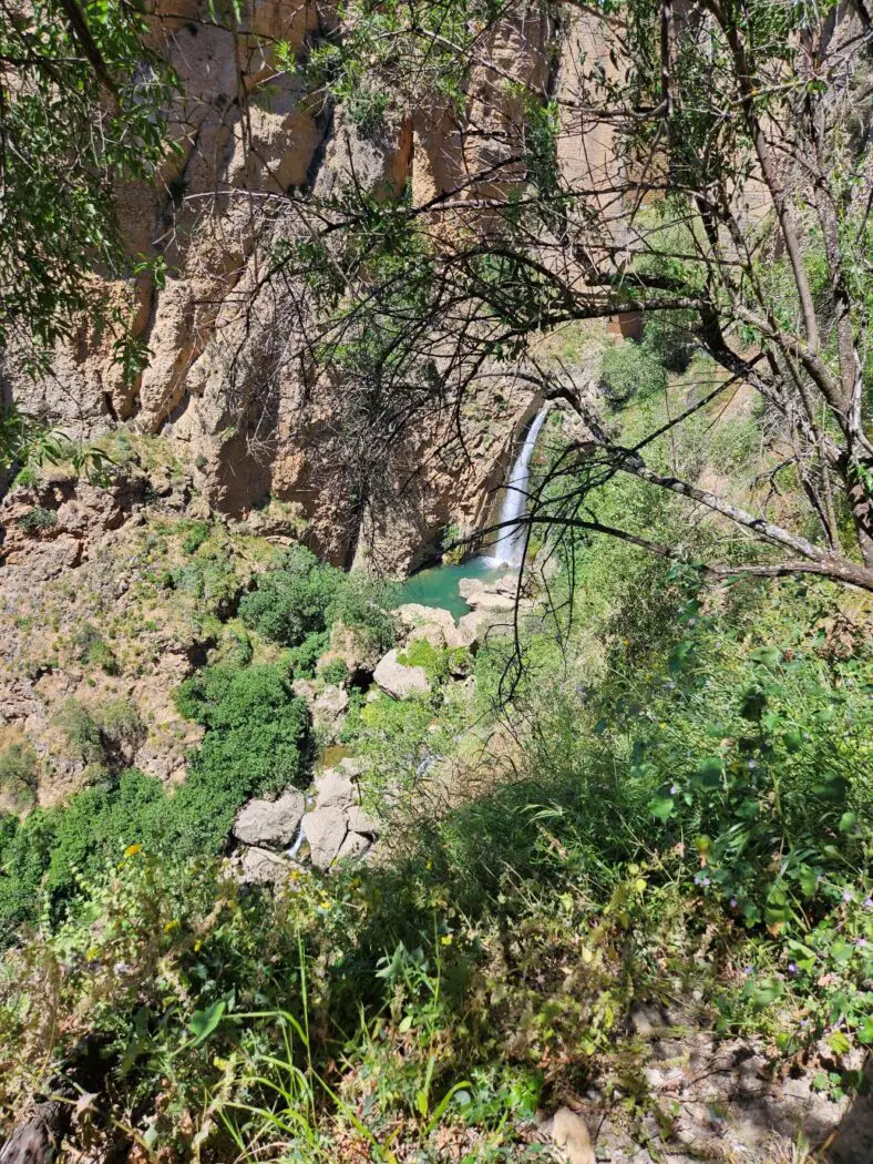 Waterfall and pool surrounded by trees