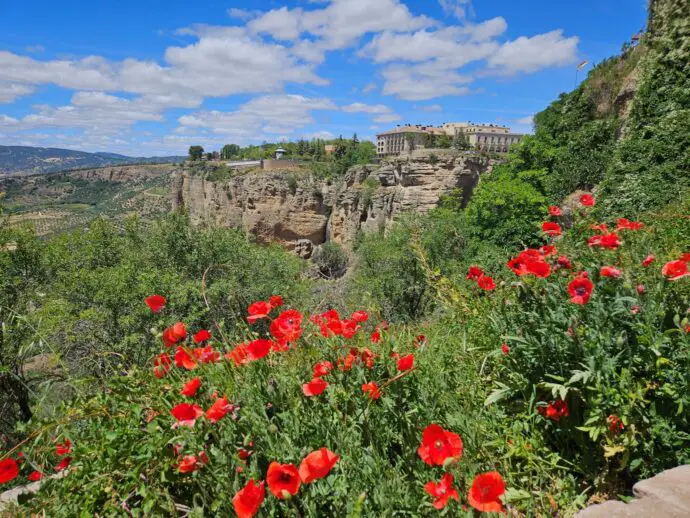 Red poppies in the foreground with a cliff and building in the background